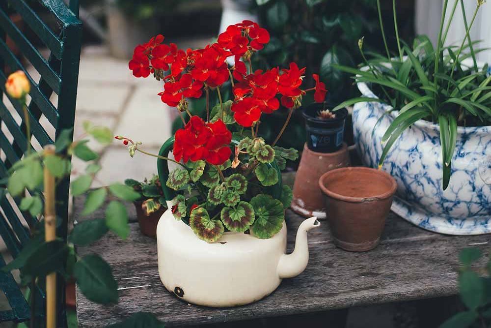 Season-Care: Spring Season-Care: Spring